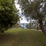 Degli Ulivi