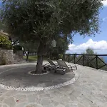 Degli Ulivi
