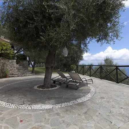 Degli Ulivi