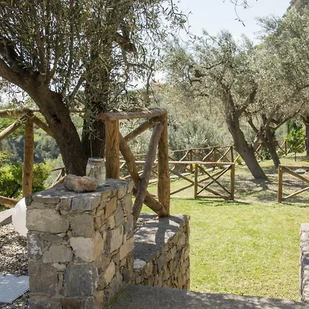 Degli Ulivi 4*