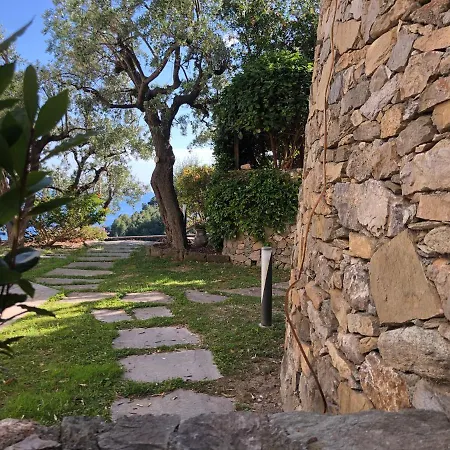 Couette-café Degli Ulivi