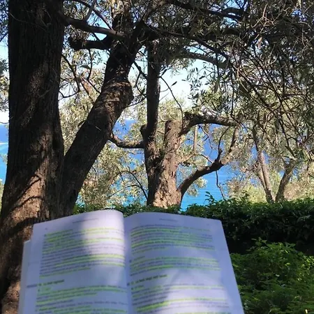 得利尤里维住宿加早餐旅馆 菲纳莱利古雷