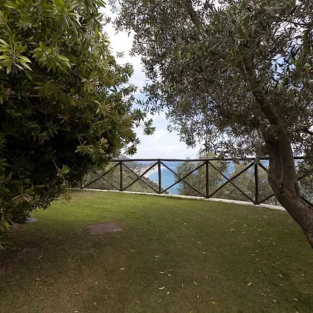 Degli Ulivi