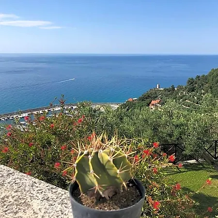 B&B Degli Ulivi 4*