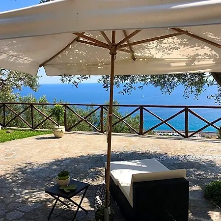 Degli Ulivi