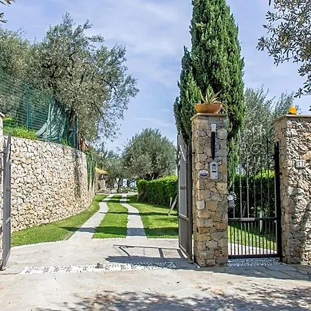 Degli Ulivi