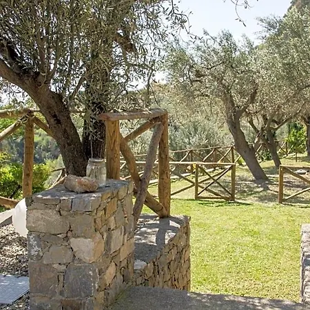 B&B Degli Ulivi 4*