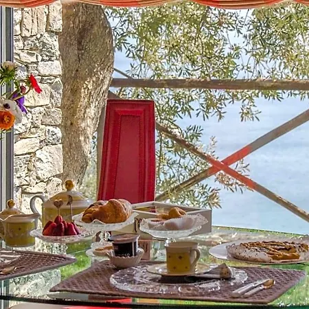 Degli Ulivi B&B