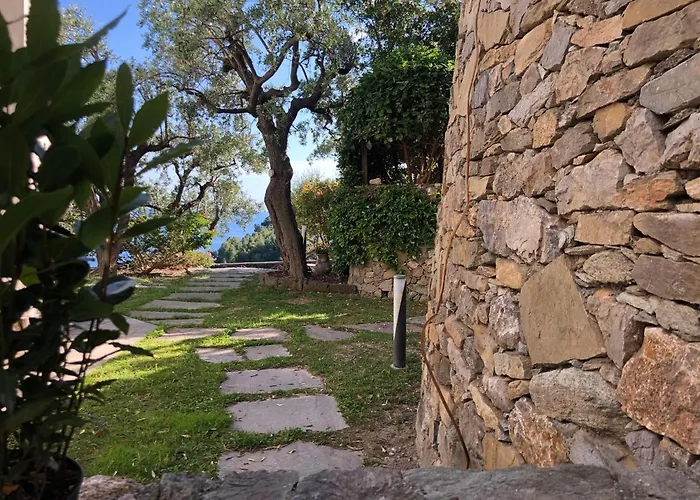 Bed and breakfast Degli Ulivi