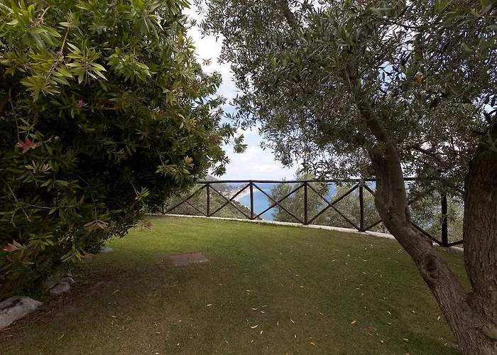 Degli Ulivi