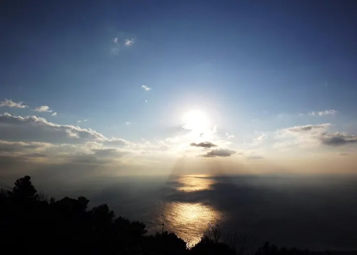 Degli Ulivi